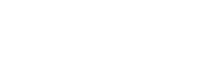 STEINER Vision